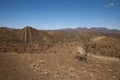 View from Razorback lookout over national park and Ikara-Flinders Ranges